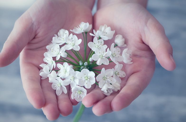 孩子不听家长的话怎么办？